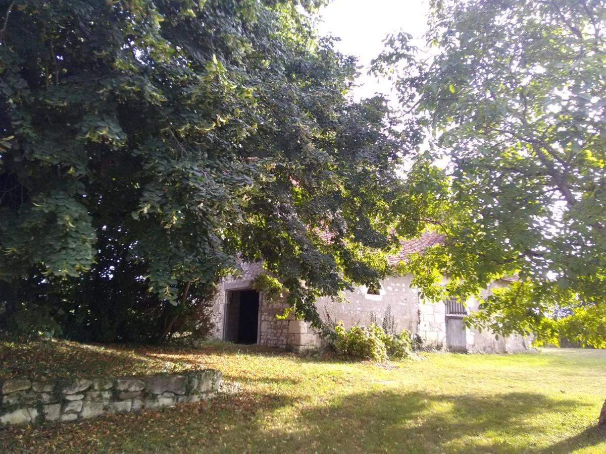 La Berrycurienne Proche Du Zoo De Beauval Saint-Aignan Avec Sdb, Wc Et Spa Privatif Pour Chaque Chambre Lucay-le-Male Exterior foto